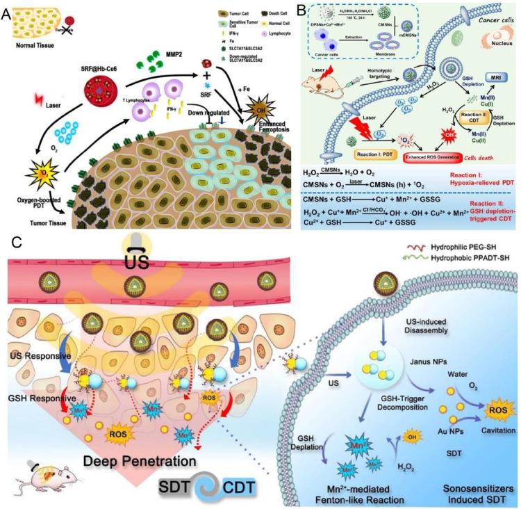 https://cdn.ncbi.nlm.nih.gov/pmc/blobs/d67d/9091802/92632d1e022e/gr3.jpg