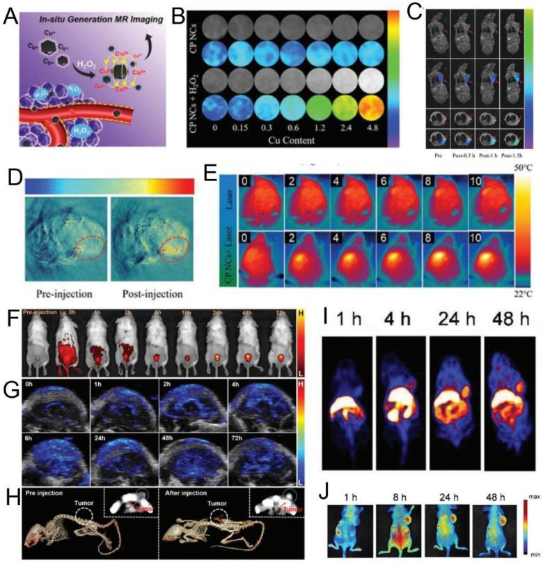 https://cdn.ncbi.nlm.nih.gov/pmc/blobs/d67d/9091802/a635a1239d6d/gr8.jpg