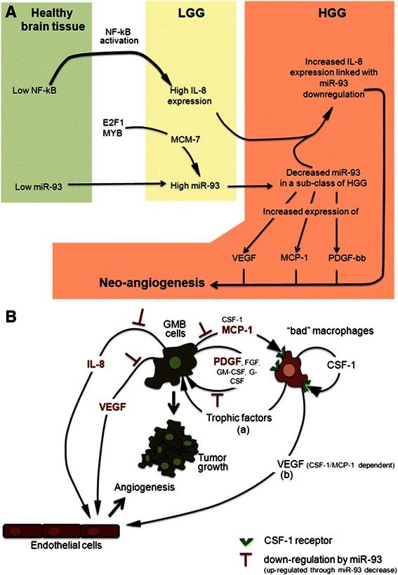 https://cdn.ncbi.nlm.nih.gov/pmc/blobs/d67e/4598972/2ee764049cc2/12885_2015_1659_Fig8_HTML.jpg