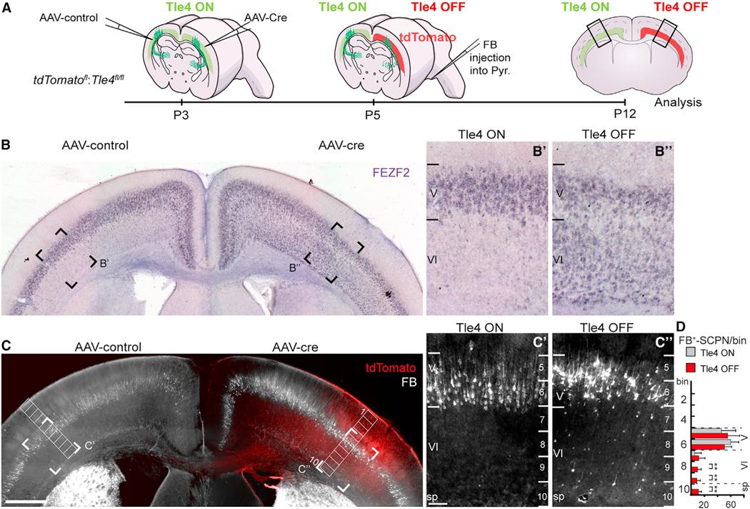 https://cdn.ncbi.nlm.nih.gov/pmc/blobs/d67f/10542749/78a161b7242a/nihms-1928281-f0006.jpg