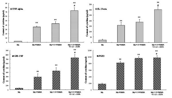 https://cdn.ncbi.nlm.nih.gov/pmc/blobs/d680/2698870/11d8a7721a38/1471-2474-10-57-5.jpg