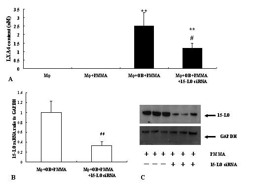 https://cdn.ncbi.nlm.nih.gov/pmc/blobs/d680/2698870/669906eb6fbf/1471-2474-10-57-4.jpg