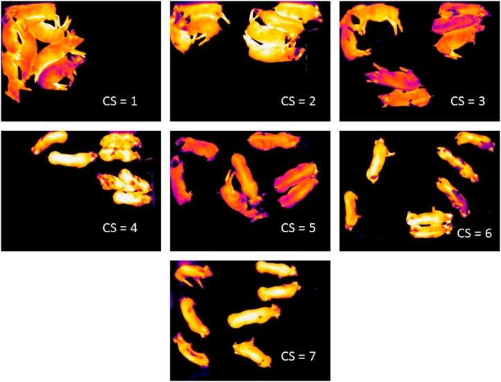 https://cdn.ncbi.nlm.nih.gov/pmc/blobs/d681/4299536/f019a54eab23/S1751731114002481_fig1.jpg