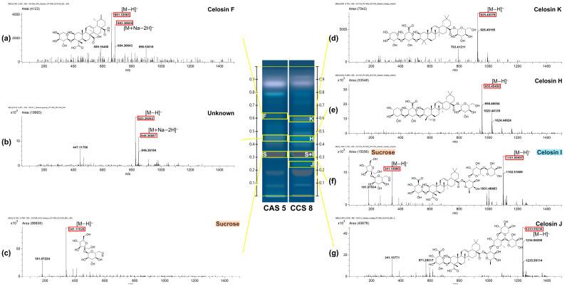 https://cdn.ncbi.nlm.nih.gov/pmc/blobs/d684/12250623/34ee326f74e7/molecules-30-02786-g003.jpg