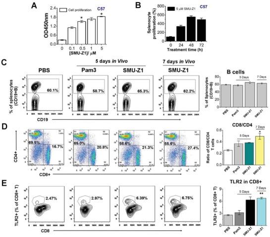 https://cdn.ncbi.nlm.nih.gov/pmc/blobs/d689/6523386/54f05c679ed6/ADVS-6-1802042-g004.jpg