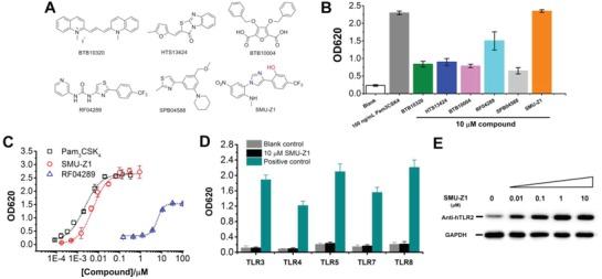 https://cdn.ncbi.nlm.nih.gov/pmc/blobs/d689/6523386/7ce4c2521552/ADVS-6-1802042-g001.jpg