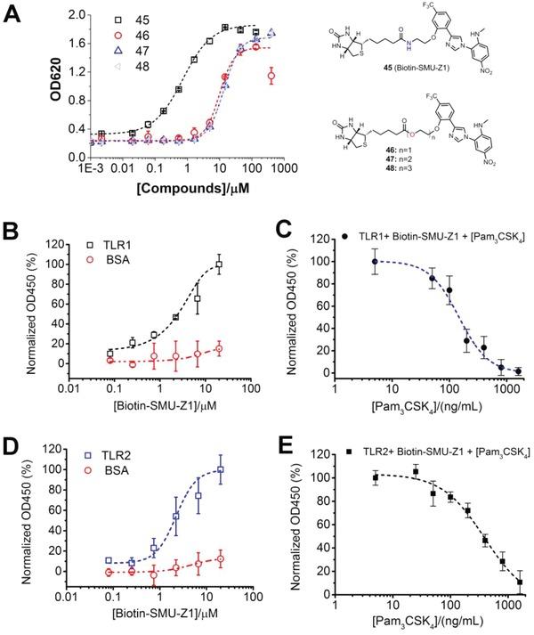https://cdn.ncbi.nlm.nih.gov/pmc/blobs/d689/6523386/faaab31bb6f5/ADVS-6-1802042-g003.jpg