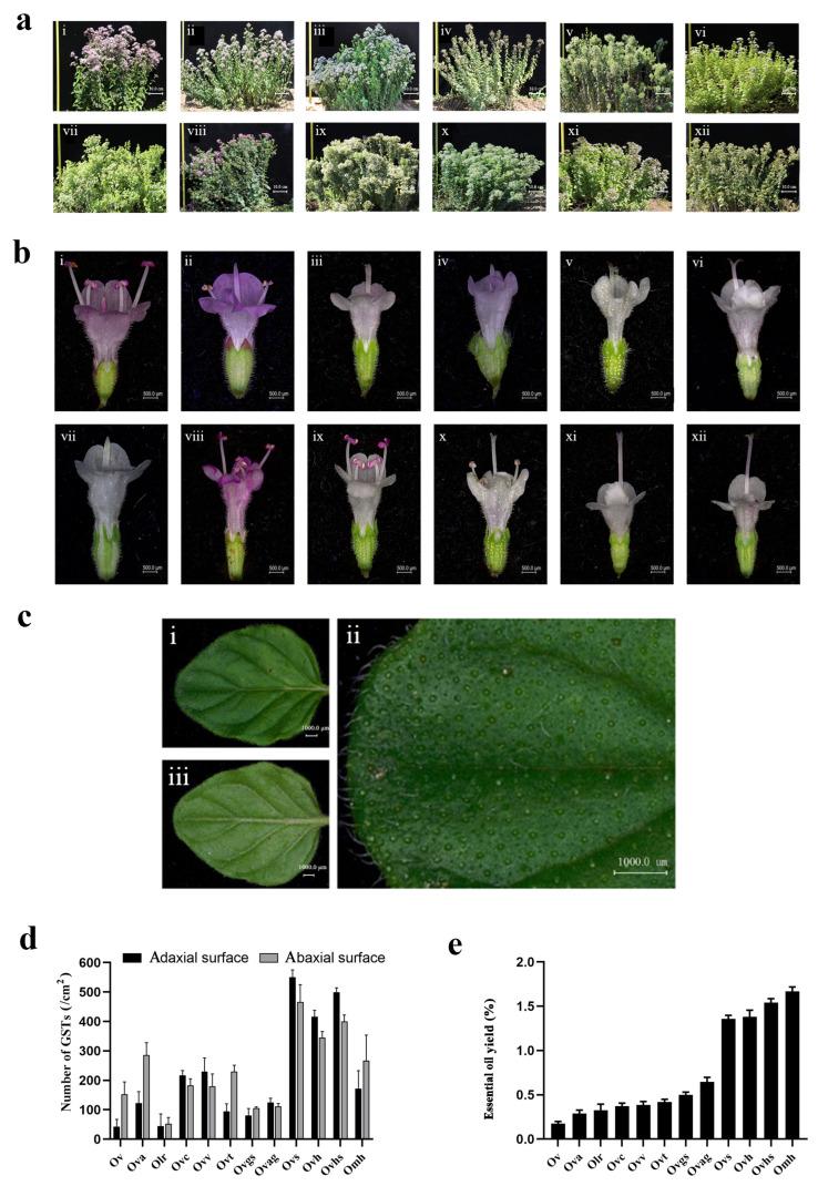 https://cdn.ncbi.nlm.nih.gov/pmc/blobs/d68c/10138667/4e4f2c884690/ijms-24-07320-g001.jpg