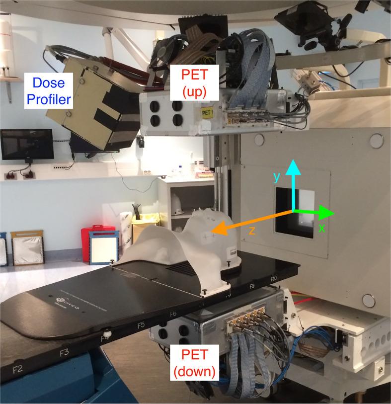 https://cdn.ncbi.nlm.nih.gov/pmc/blobs/d68c/8222779/85e3a9014066/fonc-11-601784-g002.jpg
