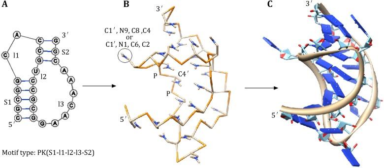 https://cdn.ncbi.nlm.nih.gov/pmc/blobs/d68d/4762127/493e6d43a538/41048_2015_1_Fig3_HTML.jpg