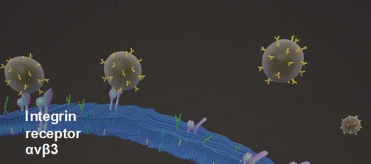 https://cdn.ncbi.nlm.nih.gov/pmc/blobs/d68e/12048782/521d93fbfbaf/IJN-20-5475-g0001.jpg