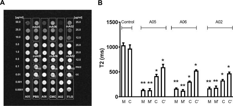 https://cdn.ncbi.nlm.nih.gov/pmc/blobs/d68e/12048782/e51ed42ed82c/IJN-20-5475-g0005.jpg