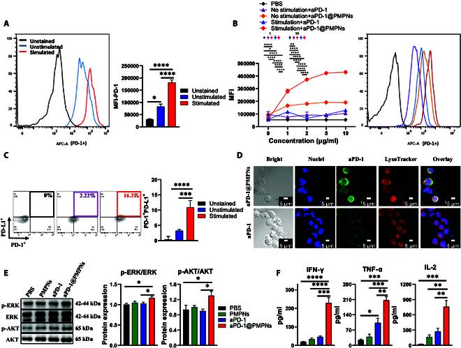 https://cdn.ncbi.nlm.nih.gov/pmc/blobs/d68e/12231238/3ec6c5247aaf/bmr.0221.fig.003.jpg