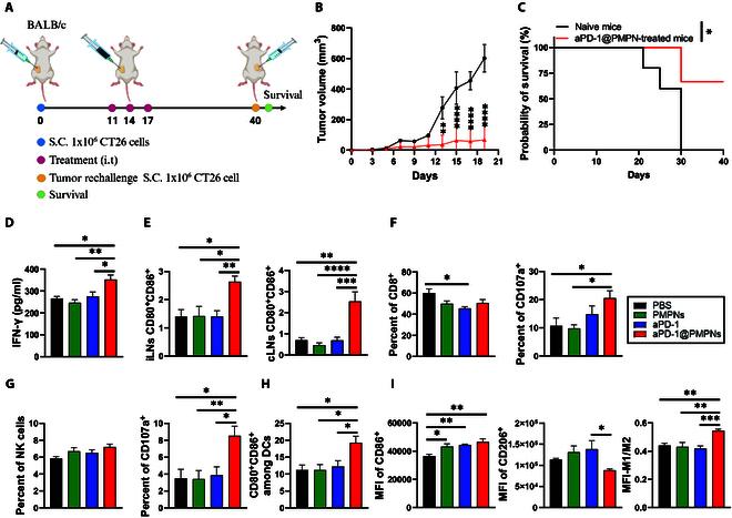 https://cdn.ncbi.nlm.nih.gov/pmc/blobs/d68e/12231238/bf539b9c9f94/bmr.0221.fig.007.jpg