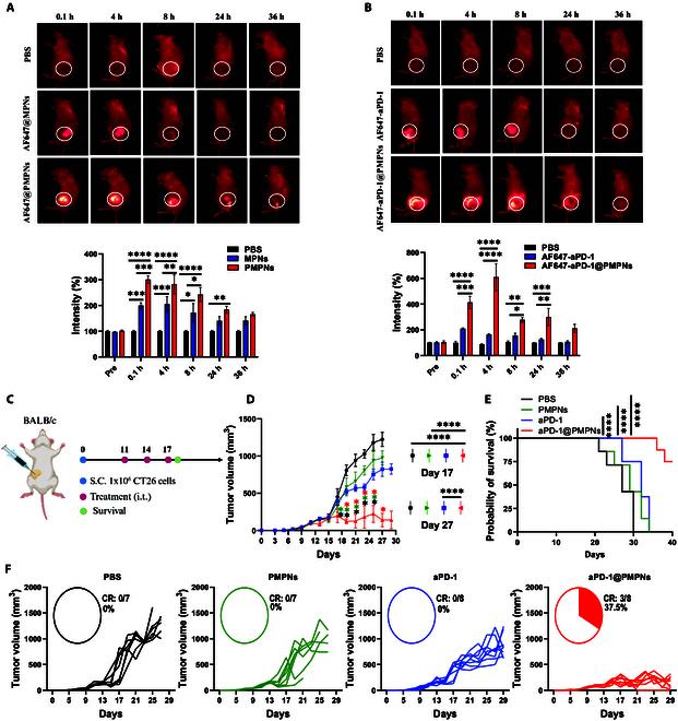 https://cdn.ncbi.nlm.nih.gov/pmc/blobs/d68e/12231238/f0d6fbdcadd7/bmr.0221.fig.005.jpg