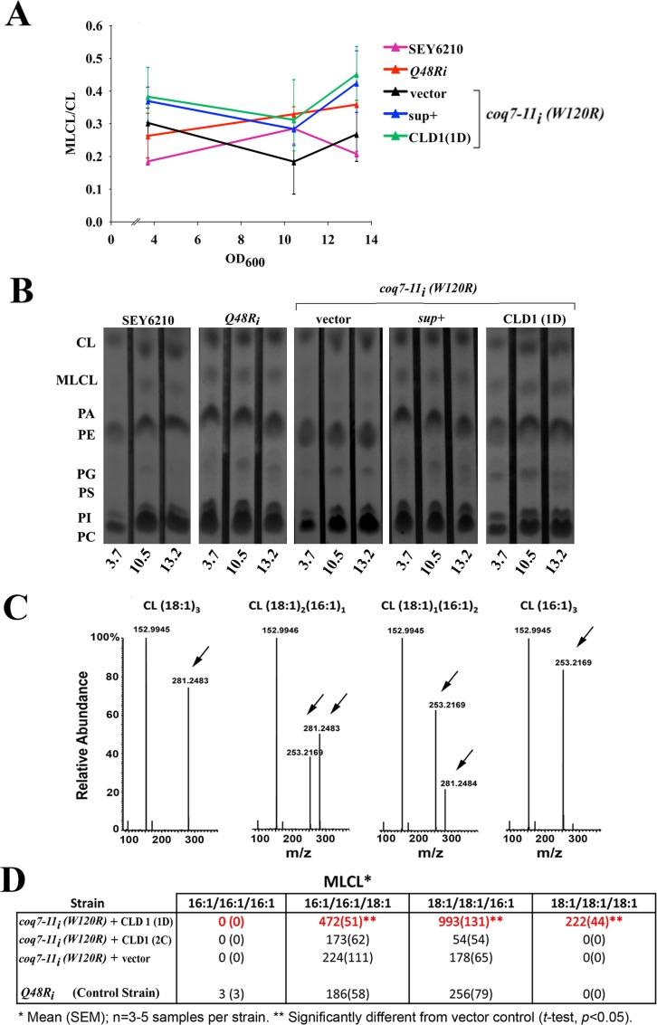 https://cdn.ncbi.nlm.nih.gov/pmc/blobs/d691/5014327/d77b61874687/pone.0162165.g004.jpg