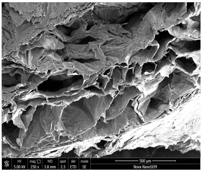 https://cdn.ncbi.nlm.nih.gov/pmc/blobs/d691/6222900/fd5478f4c850/molecules-23-02414-g007.jpg