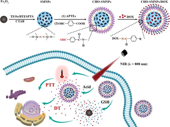 https://cdn.ncbi.nlm.nih.gov/pmc/blobs/d694/11656227/9b4259d9a2f7/ao4c08267_0009.jpg