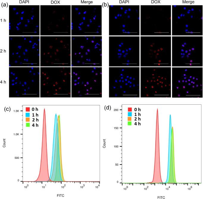 https://cdn.ncbi.nlm.nih.gov/pmc/blobs/d694/11656227/fdbe07a80203/ao4c08267_0008.jpg