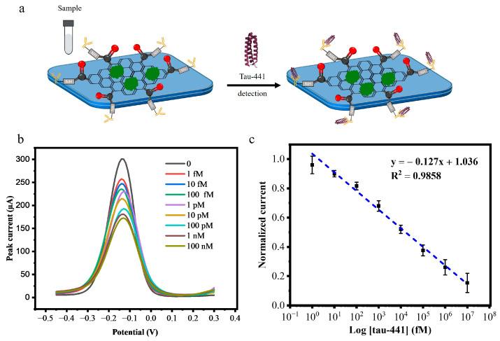 https://cdn.ncbi.nlm.nih.gov/pmc/blobs/d697/12293263/b18555239fe3/biosensors-15-00465-g004.jpg