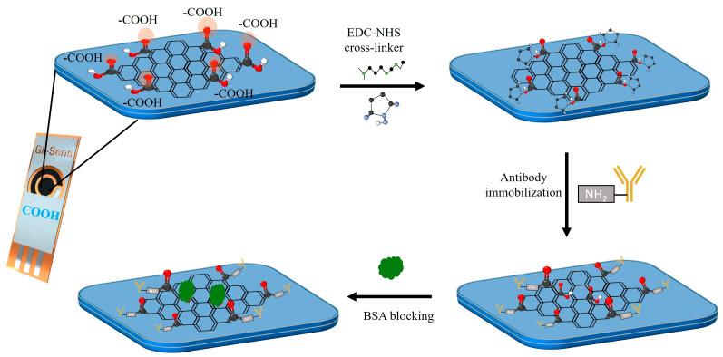 https://cdn.ncbi.nlm.nih.gov/pmc/blobs/d697/12293263/d06829f522f9/biosensors-15-00465-g001.jpg