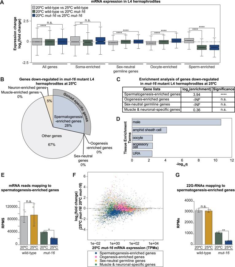 https://cdn.ncbi.nlm.nih.gov/pmc/blobs/d69a/11381353/9c0b158a91cb/gkae586fig1.jpg