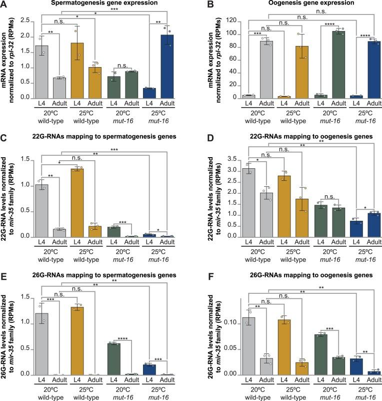 https://cdn.ncbi.nlm.nih.gov/pmc/blobs/d69a/11381353/cf51754a390c/gkae586fig5.jpg