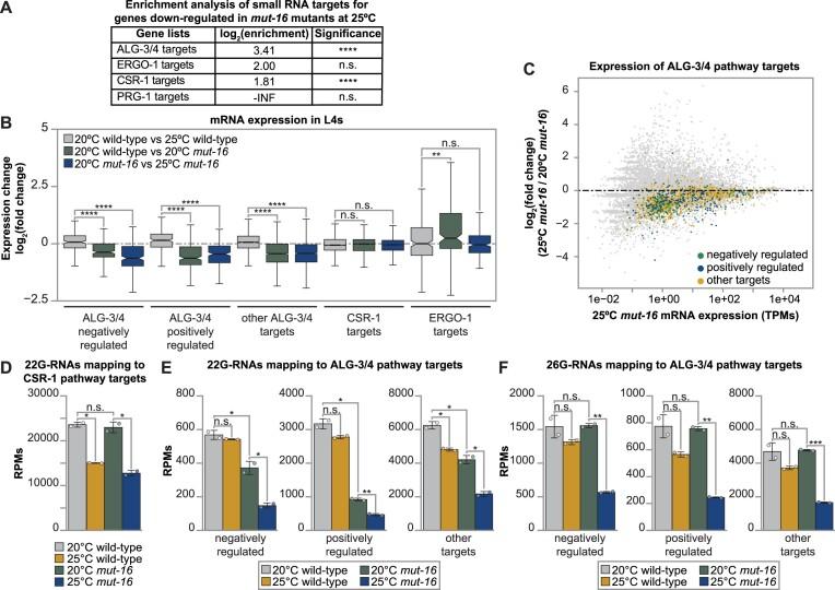 https://cdn.ncbi.nlm.nih.gov/pmc/blobs/d69a/11381353/e1e633e6f7b7/gkae586fig2.jpg