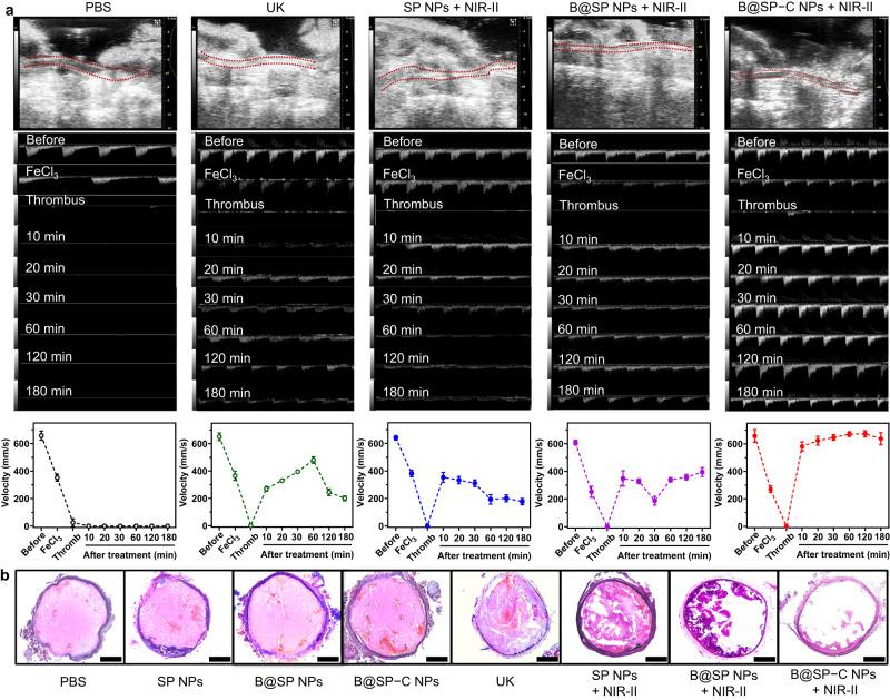 https://cdn.ncbi.nlm.nih.gov/pmc/blobs/d69c/10613240/255bfef26d2b/41467_2023_42691_Fig8_HTML.jpg