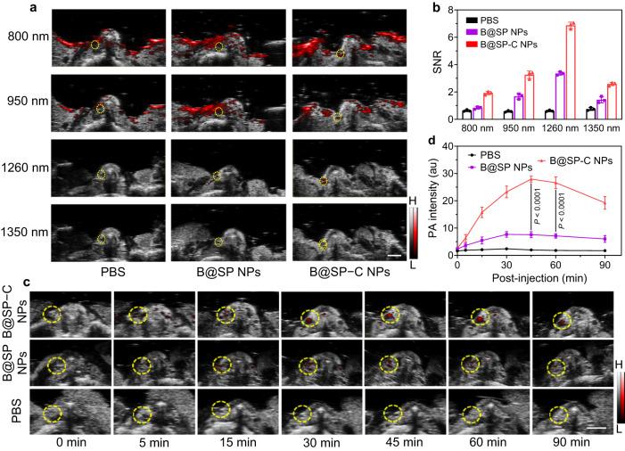 https://cdn.ncbi.nlm.nih.gov/pmc/blobs/d69c/10613240/33d8b767315e/41467_2023_42691_Fig6_HTML.jpg