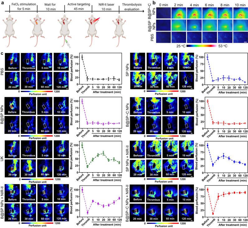 https://cdn.ncbi.nlm.nih.gov/pmc/blobs/d69c/10613240/d36c95330ee5/41467_2023_42691_Fig7_HTML.jpg