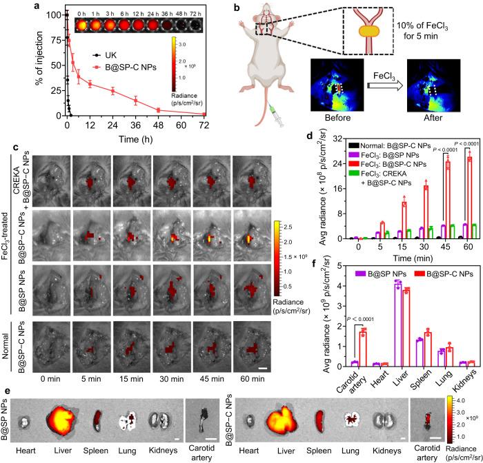 https://cdn.ncbi.nlm.nih.gov/pmc/blobs/d69c/10613240/e93551390f80/41467_2023_42691_Fig5_HTML.jpg
