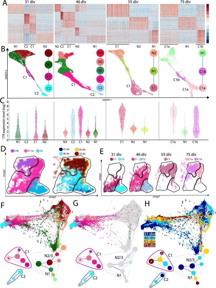 https://cdn.ncbi.nlm.nih.gov/pmc/blobs/d69d/12134268/7137c8ef1b87/41467_2025_60361_Fig4_HTML.jpg