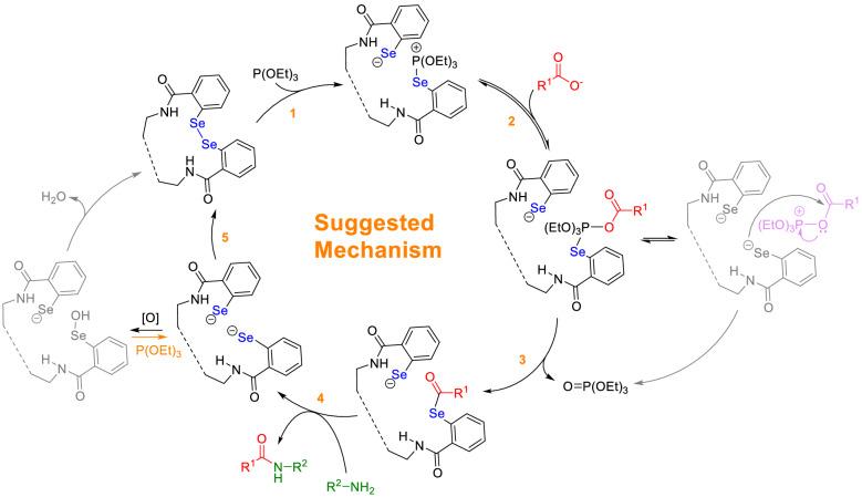 https://cdn.ncbi.nlm.nih.gov/pmc/blobs/d69d/9436994/b555b1a7aa93/41598_2022_19030_Fig11_HTML.jpg