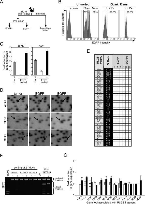 https://cdn.ncbi.nlm.nih.gov/pmc/blobs/d69f/1994712/5fb2161ea955/pgen.0030167.g002.jpg