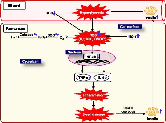 https://cdn.ncbi.nlm.nih.gov/pmc/blobs/d6a0/4756415/dfaa2ad84b8b/12906_2016_1032_Fig7_HTML.jpg