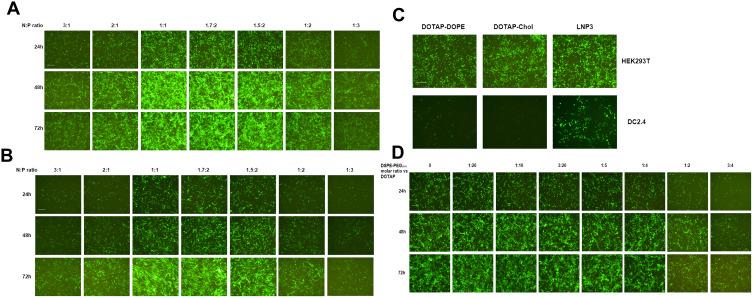 https://cdn.ncbi.nlm.nih.gov/pmc/blobs/d6a0/9259059/7349f798bdb1/IJN-17-2893-g0001.jpg