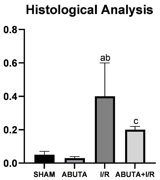 https://cdn.ncbi.nlm.nih.gov/pmc/blobs/d6a1/10341095/f2ee42559c3a/cells-12-01688-g005.jpg