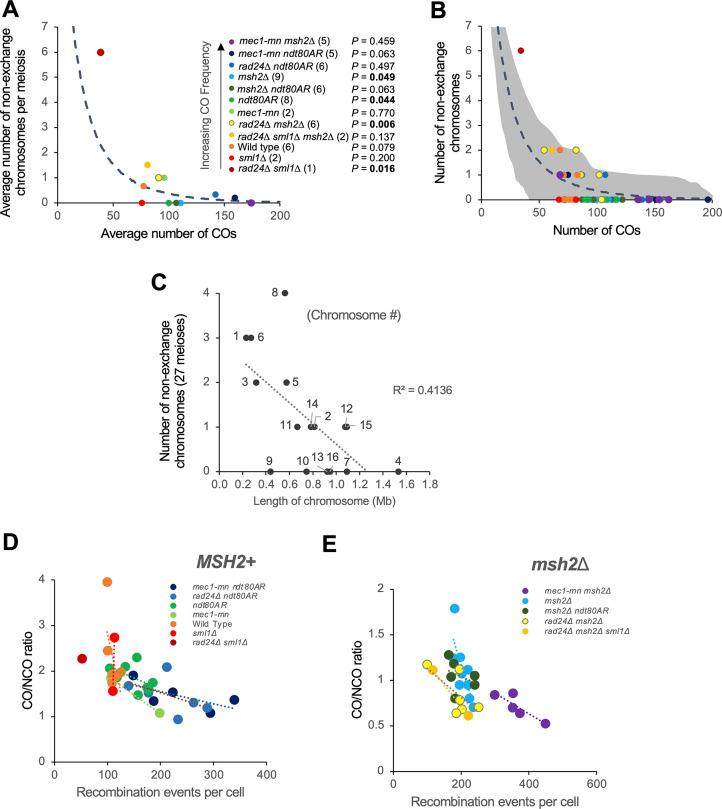 https://cdn.ncbi.nlm.nih.gov/pmc/blobs/d6a5/11658708/0b774f53ef65/pgen.1011485.g003.jpg
