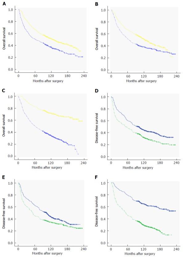 https://cdn.ncbi.nlm.nih.gov/pmc/blobs/d6a5/5603492/7d7b19e891b8/WJG-23-6261-g001.jpg