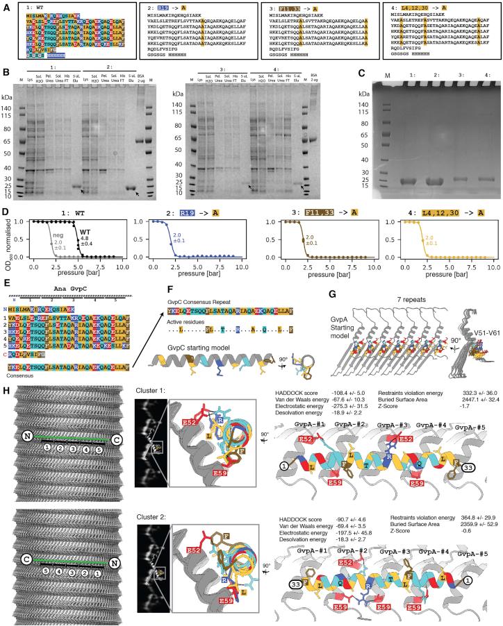 https://cdn.ncbi.nlm.nih.gov/pmc/blobs/d6a5/9994262/04facf1143da/figs6.jpg