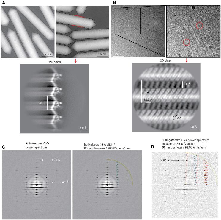 https://cdn.ncbi.nlm.nih.gov/pmc/blobs/d6a5/9994262/175875369f17/figs4.jpg