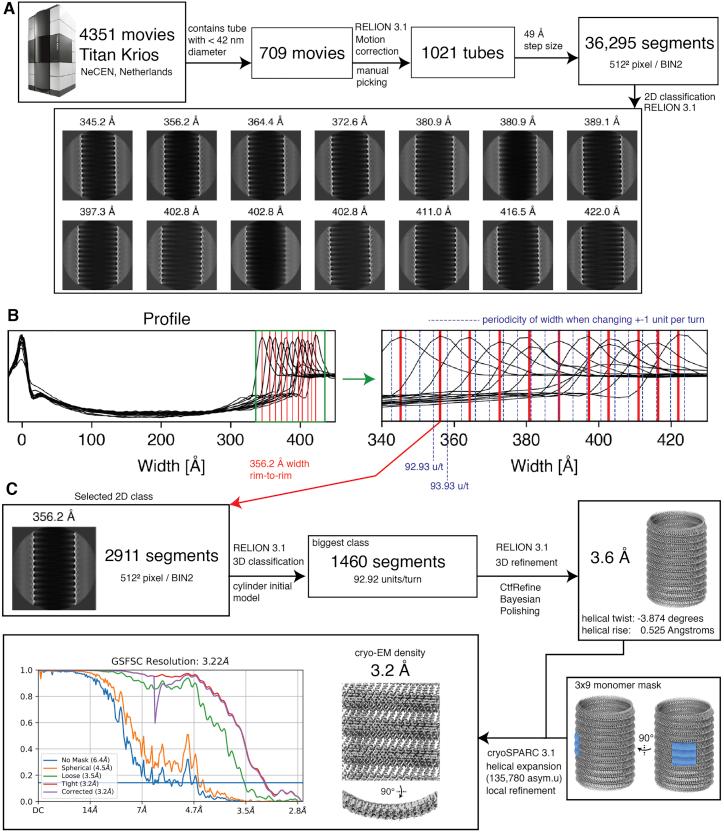 https://cdn.ncbi.nlm.nih.gov/pmc/blobs/d6a5/9994262/ee4babe836fb/figs1.jpg