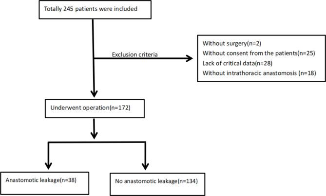 https://cdn.ncbi.nlm.nih.gov/pmc/blobs/d6a7/11395224/67fa12aaa0bf/12893_2024_2562_Fig1_HTML.jpg