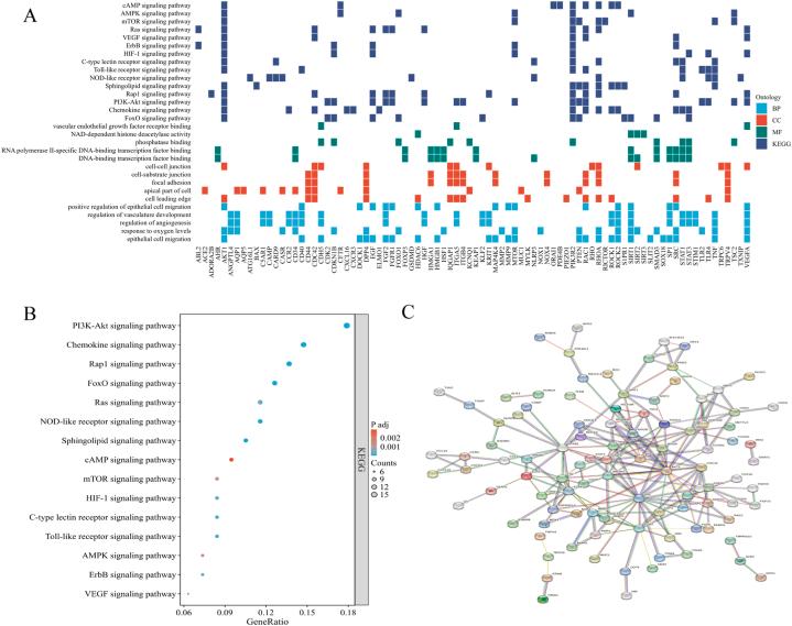 https://cdn.ncbi.nlm.nih.gov/pmc/blobs/d6ac/11089360/80662f4b053c/gr11.jpg