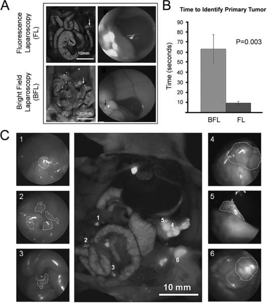 https://cdn.ncbi.nlm.nih.gov/pmc/blobs/d6ac/4702217/388d26902830/mp-2015-00626m_0007.jpg