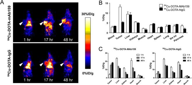 https://cdn.ncbi.nlm.nih.gov/pmc/blobs/d6ac/4702217/58c4c69e1ef8/mp-2015-00626m_0004.jpg