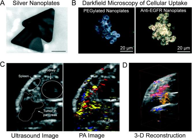 https://cdn.ncbi.nlm.nih.gov/pmc/blobs/d6ac/4702217/7b496c989f6f/mp-2015-00626m_0008.jpg