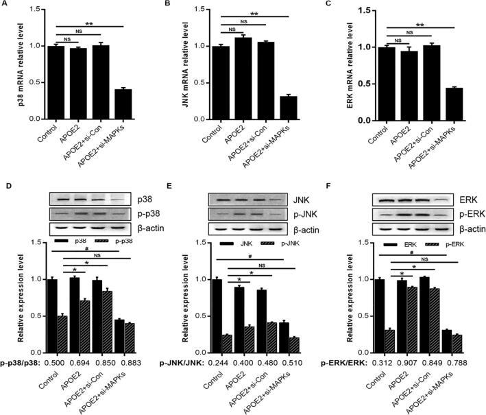 https://cdn.ncbi.nlm.nih.gov/pmc/blobs/d6ae/7499293/2d2a49eb3f75/gr5.jpg