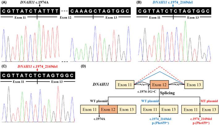 https://cdn.ncbi.nlm.nih.gov/pmc/blobs/d6b0/8435457/97aa614e282b/JCMM-25-9028-g004.jpg